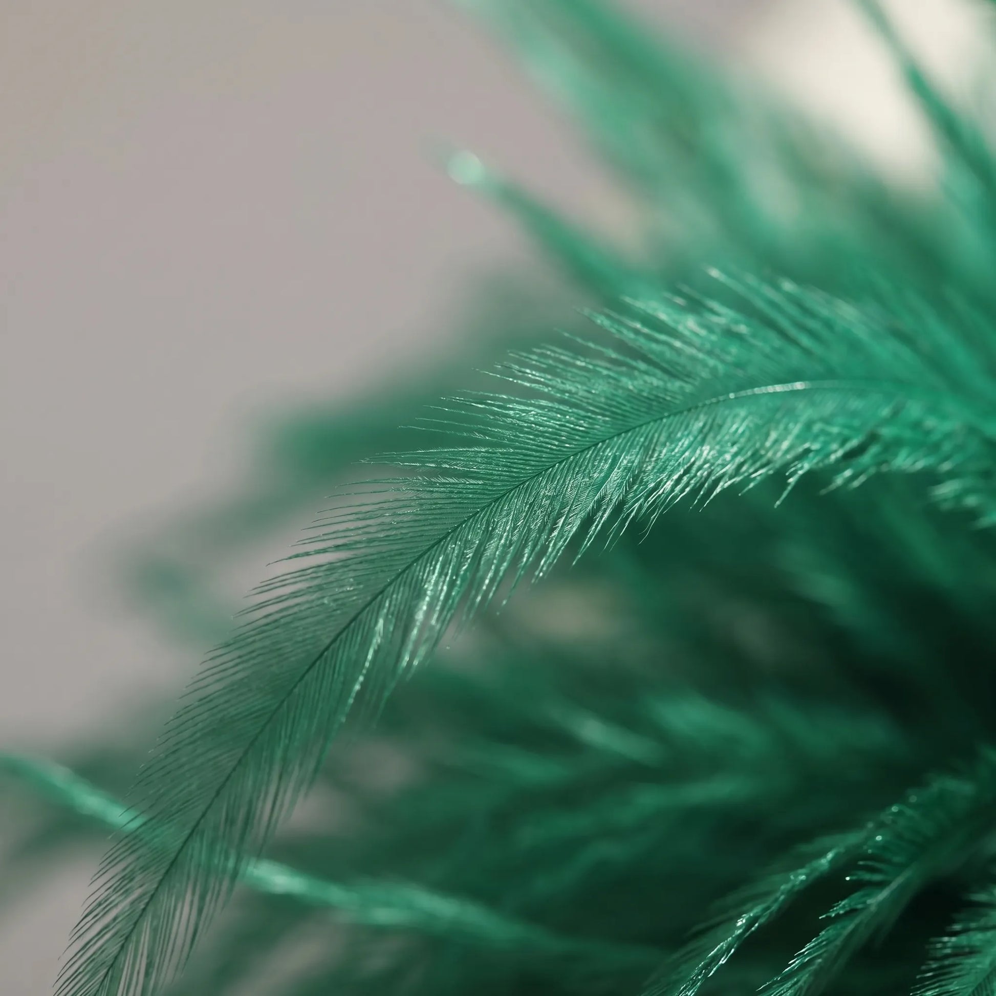 Fleurova - Oversized Feather Flower Brooch Pin